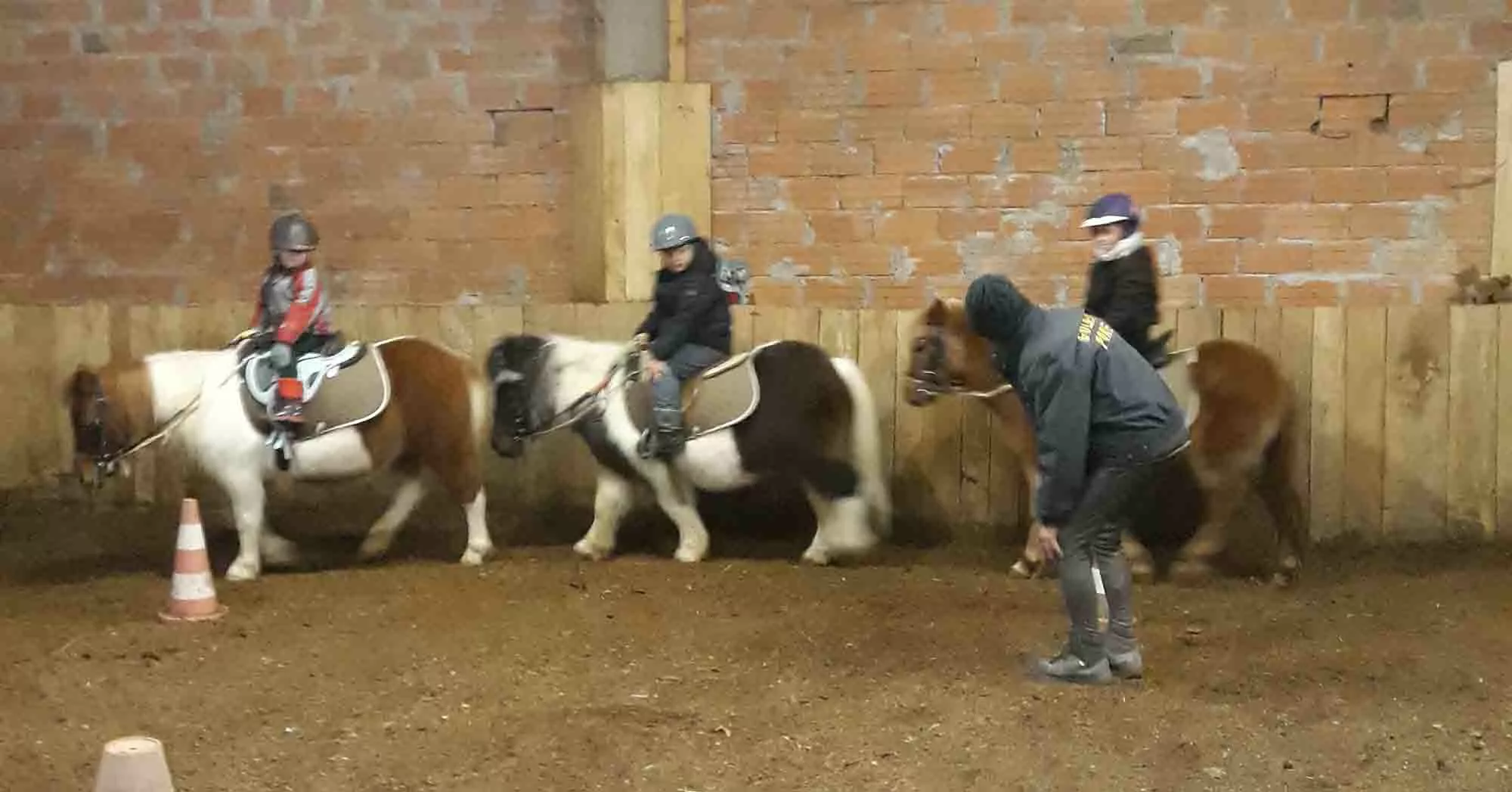 Chevaux et poneys au centre équestre Larzac