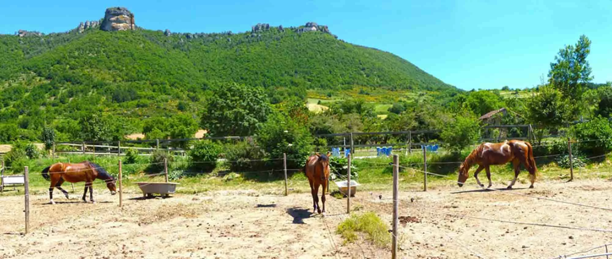 Centre équestre au bord du Larzac en Aveyron